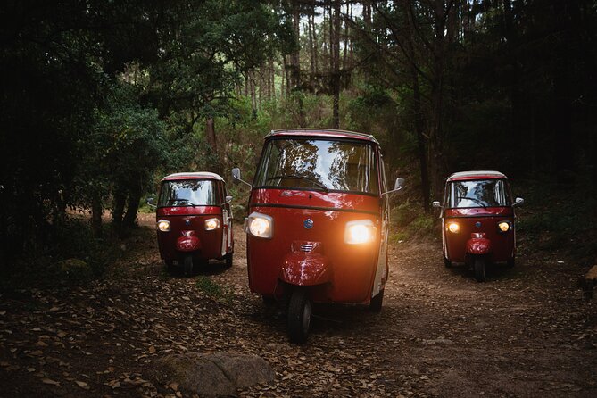 1-Hour Guided Tuk-Tuk Tour in Sintra - Getting Great Photos in a Hilly Town (Without Losing Your Mind)