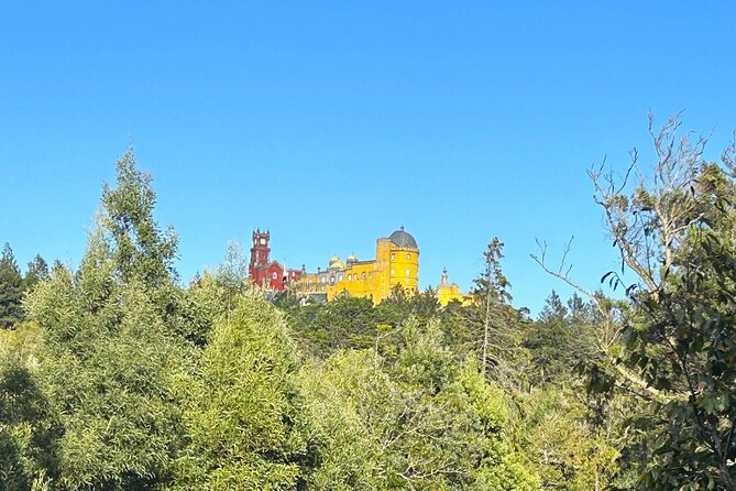 1 Hour Sightseeing Tour in Sintra with Tuktuk - Should you book this Sintra tuktuk tour?