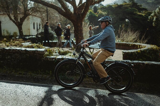 Cycle Sintra’s Wonders – EBike Tour - Palacio e Parque Biester: the “new gates” palace that feels like a find
