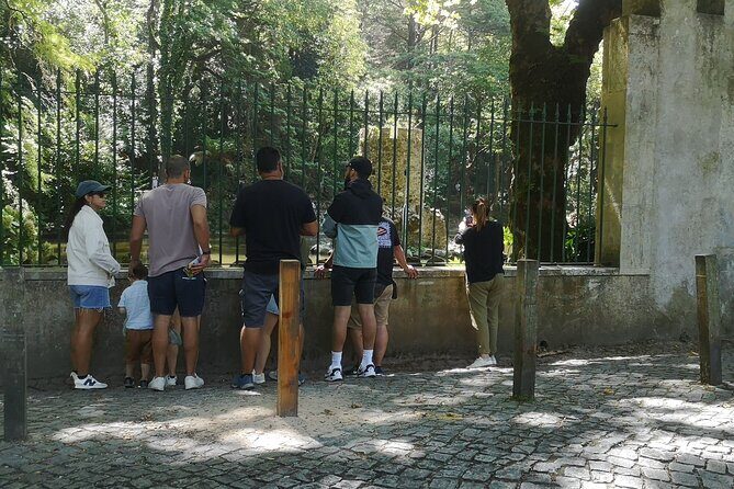 Daytrip from Lisbon to Sintra+Cascais-Large groups up to 10 pax - Quinta da Regaleira: the inverted world underground