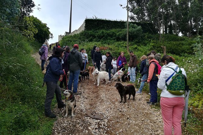 Discover Sintra's Hidden Trails: A Unique Hiking Experience - Stop 1: walking the natural wonders of the Lisbon region