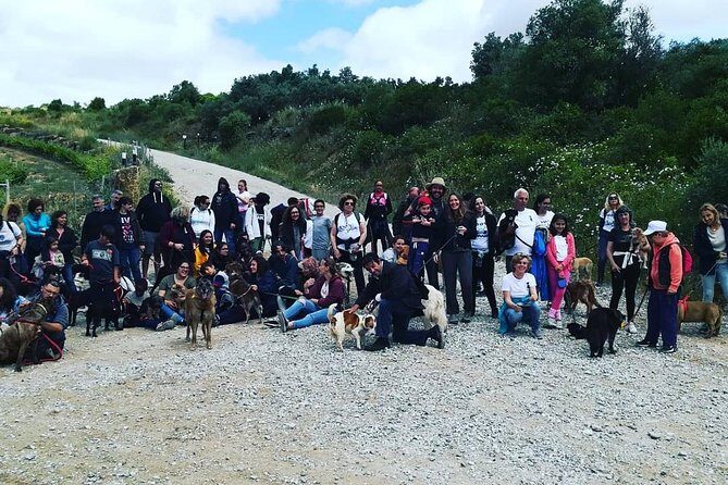 Discover Sintra's Hidden Trails: A Unique Hiking Experience - Price and value: what $78.19 covers
