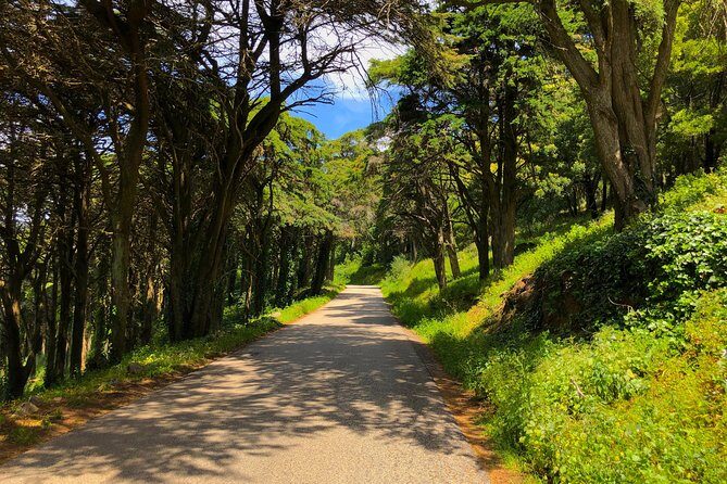E-Bike Self-Guided Sintra - Cascais (Private Tour from Lisbon) - Getting going at Bikeiberia: bikes, helmets, and GPS that sets the pace