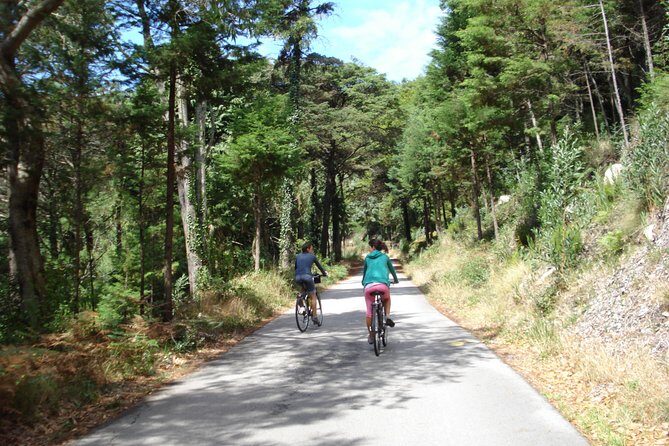 E-Bike Self-Guided Sintra - Cascais (Private Tour from Lisbon) - Guincho Beach: ocean views, swim time, and a sanity check on wind