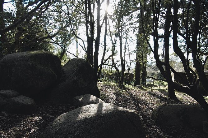 Epic Off-Road Adrenaline in Sintra - How the Lunch Stop Actually Works (And What to Budget)