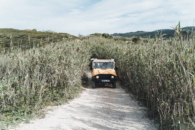Epic Off-Road Adrenaline in Sintra - Forest Tracks, Lakes, and Hilltop Convent Views