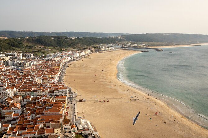 Fatima Sanctuary, Pena Palace & Nazare's Big Wave from Lisbon - Nazaré’s coast and the big-wave spectacle