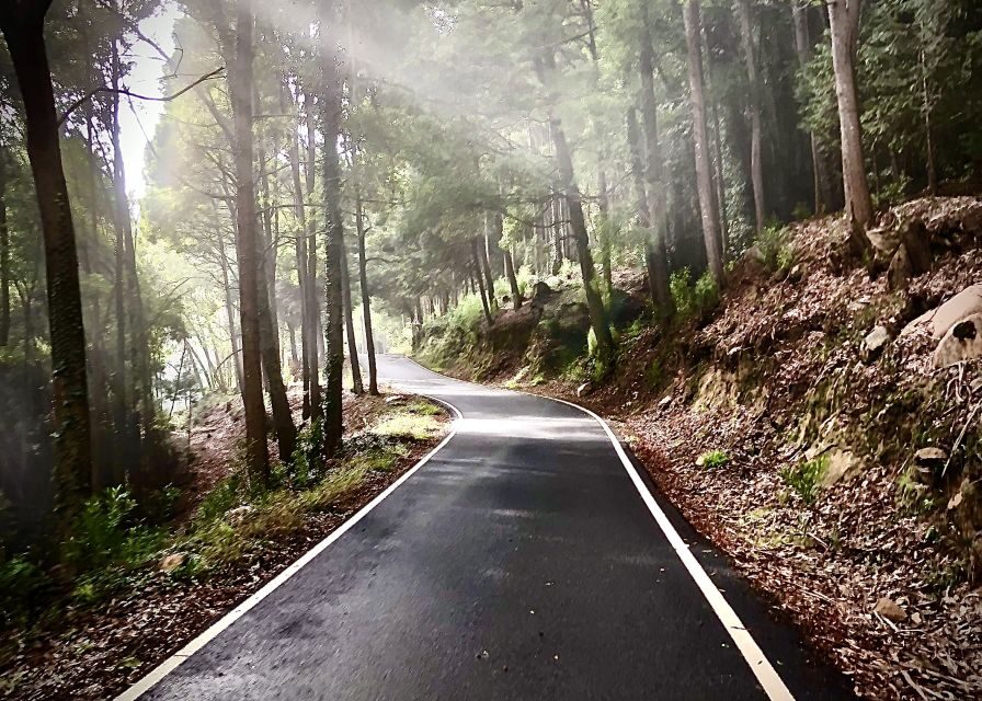 From Cascais: Sintra Guided E-Bike Tour & Guincho Beach - Sintra Forest Climb: Fresh Air, Fountain Water, and a Real Sense of Place