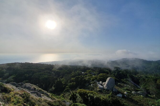 From Lisboa: Sintra, Cabo da Roca & Cascais Private Full Day Tour - Sintra National Palace: An Optional Second Interior Choice