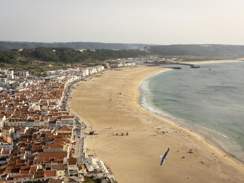 From Lisbon: Fátima, Nazaré and Sintra Guided Tour - Why this day trip from Lisbon feels efficient (and still human)