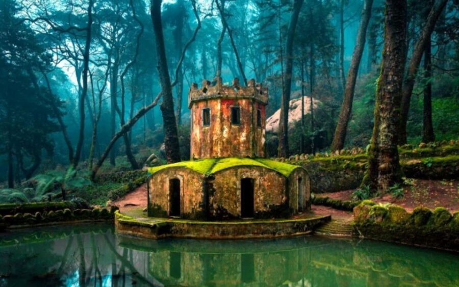 From Lisbon: Sintra, Cabo da Roca, & Cascais Day Trip - Pena Palace Gardens: the calm after the architecture