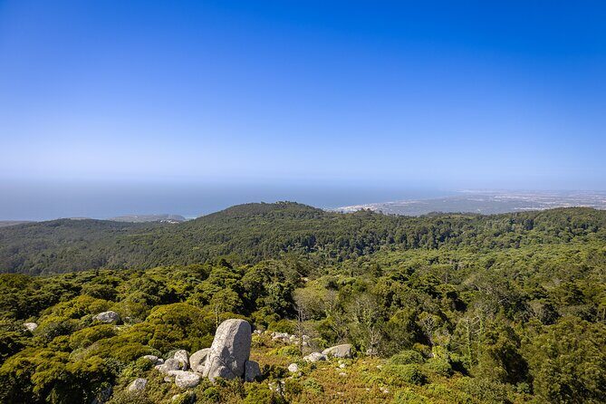 From Lisbon: Sintra, Pena Palace and Regaleira - Pena Palace Exterior: Color, Views, and a Careful Ticket Note