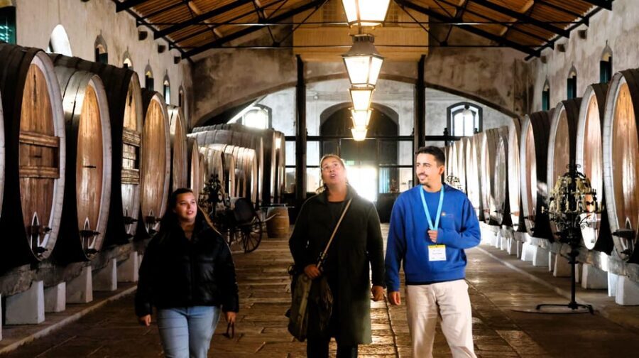 From Lisbon: Sintra, Pena Palace, Cascais and Wine Tasting - Key Highlights You’ll Actually Feel
