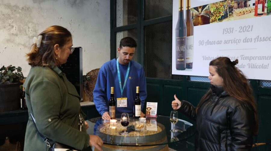 From Lisbon: Sintra, Pena Palace, Cascais and Wine Tasting - Pena Palace: The Romantic-Style Fairy-Tale Visit (Guided Inside)