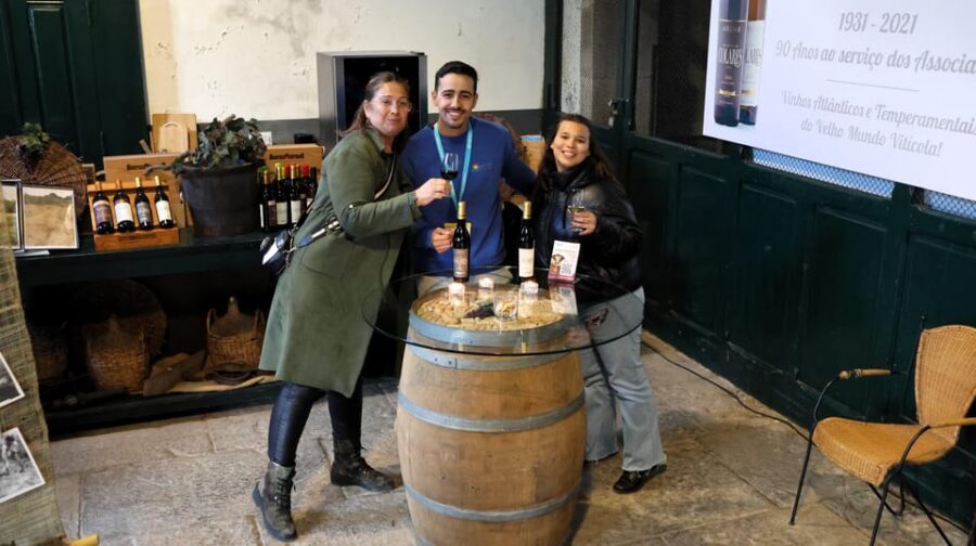 From Lisbon: Sintra, Pena Palace, Cascais and Wine Tasting - Cascais and Passing Casino Estoril: A Polished Seaside Reset