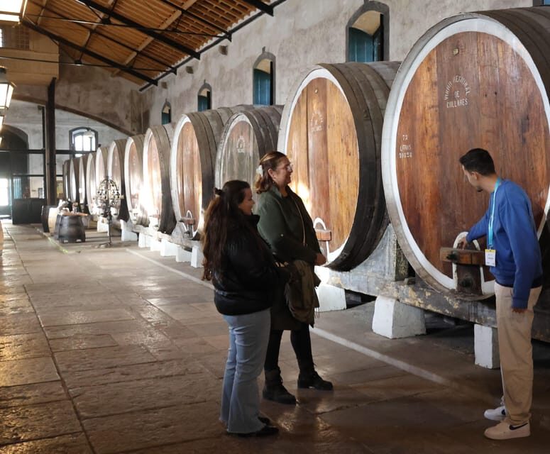 From Lisbon: Sintra, Pena Palace, Cascais and Wine Tasting - Meeting in Eduardo VII Park: The Early Start That Saves You Later