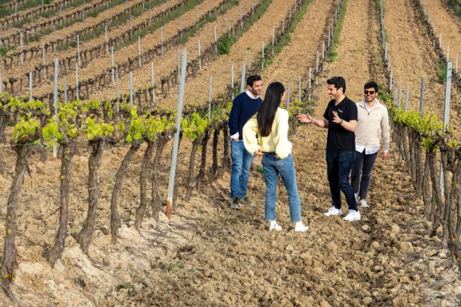 From Lisbon: Sintra & Pena Palace Day Trip with Wine Tasting - Guided Sintra time: what you’ll actually do with that hour-plus