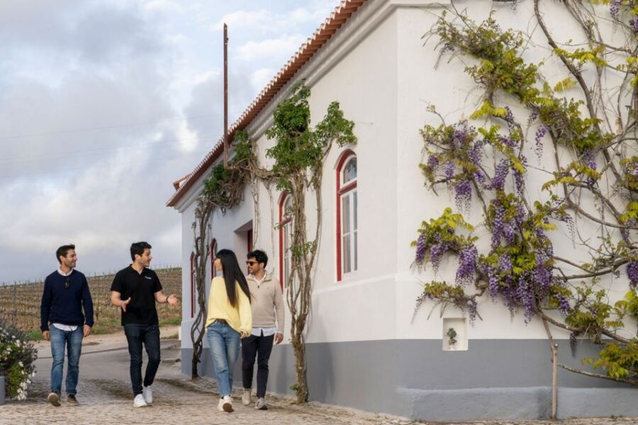 From Lisbon: Sintra & Pena Palace Day Trip with Wine Tasting - Entering Pena Palace gardens: the part most people remember