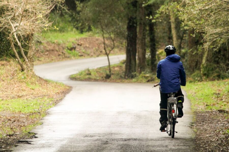 From Lisbon: Sintra to Cascais Full-Day Guided E-Bike Tour - Lunch in Azóia: good local fuel for the next climb