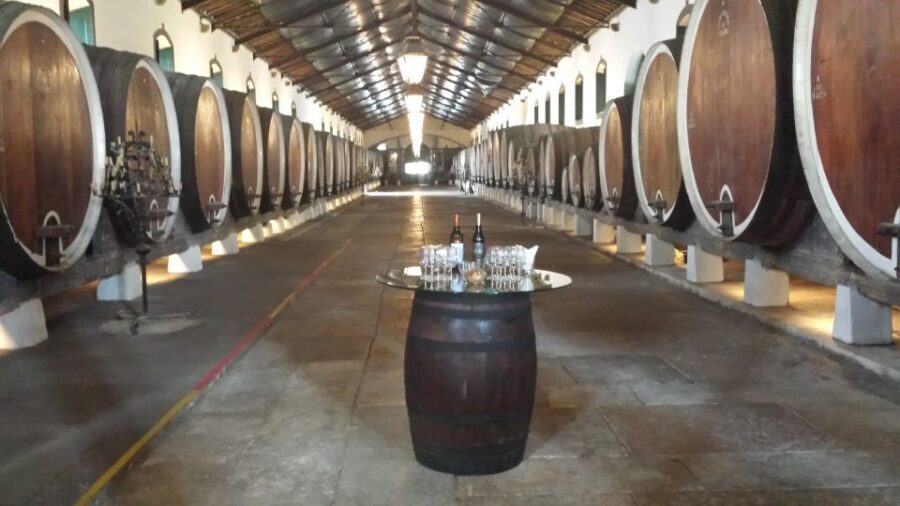 From Lisbon: Sintra Wine Experience - Key highlights worth your time