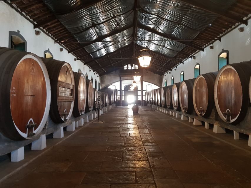 From Lisbon: Sintra Wine Experience - A private day that mixes Sintra wine with Atlantic views