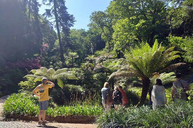 From Lisbon: Sintra's Historical and Natural Gems - Quinta da Regaleira: fountains, grottoes, and the Initiation Well