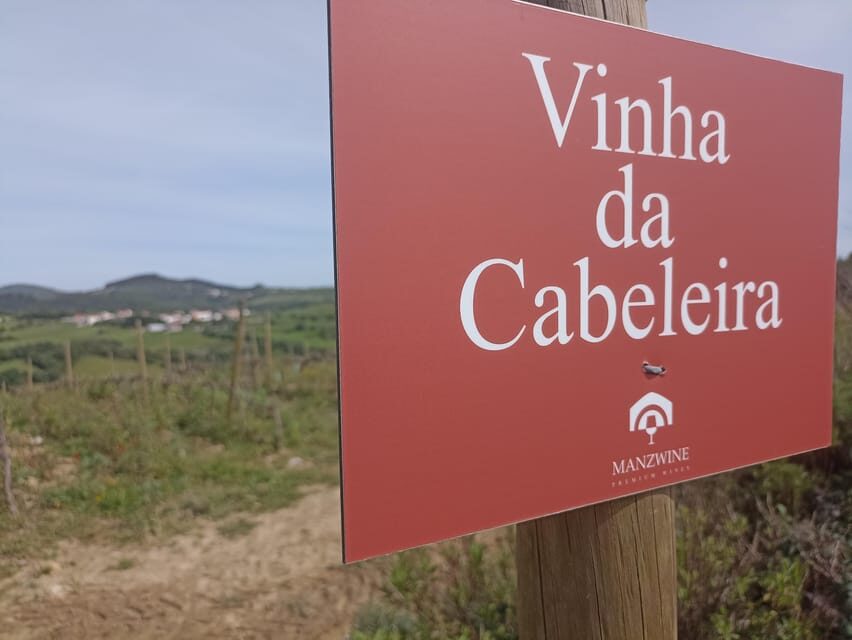 From Sintra, Mafra, or Ericeira: Hike and Wine Tour - FAQ