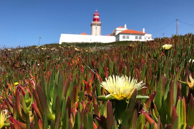 Full Day Tour: Sintra, Pena Palace, Cabo da Roca, Cascais - Pace, Walking, and Weather: The Stuff You Should Decide Up Front