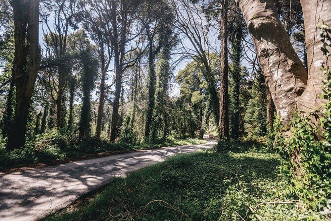 Full-Day Tour to Sintra and Cascais - Stop 4: Seteais Pass-Through (30 Minutes, Ticket Free)