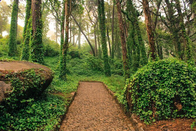 Golden Triangle Private Tour (Sintra and Cascais), from Lisbon - Comfort and small upgrades that actually help
