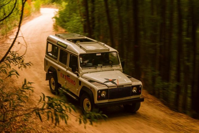 Half-day Sintra Jeep Safari - A Jeep ride that actually changes how you see Sintra
