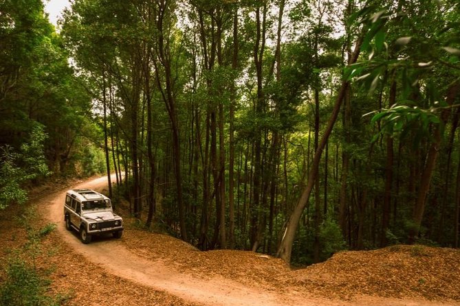 Half-day Sintra Jeep Safari - The ride itself: forests, coastline roads, and why it feels faster than it sounds