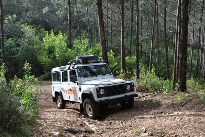 Half-day Sintra Jeep Safari - Group size and attention: up to 8, min 4 per jeep