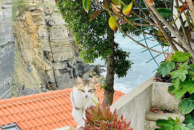 Half-Day Tour in Cascais / Sintra with Brunch and Wine Tasting - Azenhas do Mar: A Short Stop With a Strong Visual Payoff