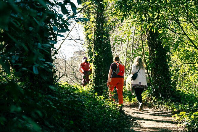 Hike in Sintra: Pena Palace, Moorish Castle, Quinta da Regaleira - Castelo dos Mouros trails: where the hike earns its keep