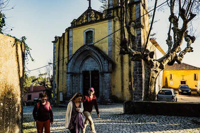 Hike in Sintra: Pena Palace, Moorish Castle, Quinta da Regaleira - Vila Sassetti trail: the botanical in-between you’ll feel later