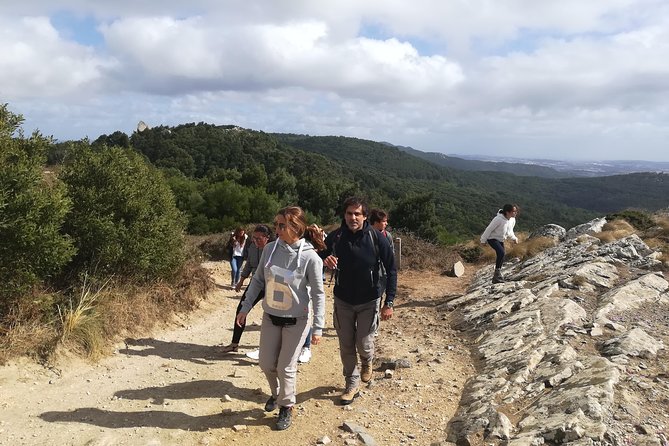 Hiking in Sintra-Cascais Natural Park - Sintra-Cascais Natural Park: why this hike works so well