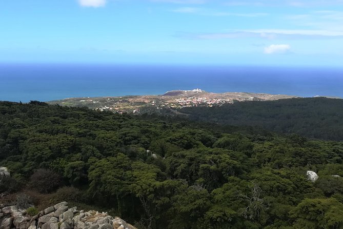 Hiking in Sintra-Cascais Natural Park - What Pedro teaches on the trail: history, cork, and nature clues