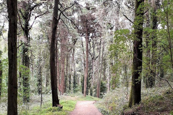 Hiking in Sintra-Cascais Natural Park - Price and value: what you’re paying for (and what you’re not)