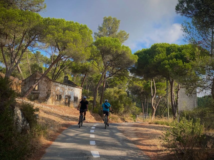 Lisbon: E-bike Trip from the Sintra Mountains to Cascais Sea - Climbing Through Sintra Forest: Sheep, Horses, Gardens, and Fresh Water