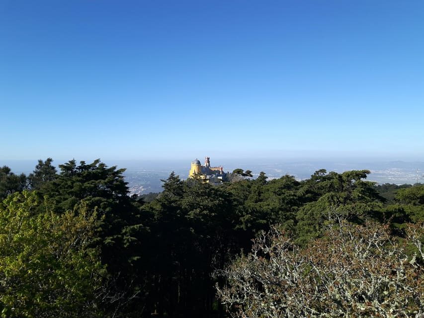 Lisbon: Half-Day Sintra Tour with Pena Palace and Regaleira - Sintra village break: where Travesseiro and Queijada fit perfectly