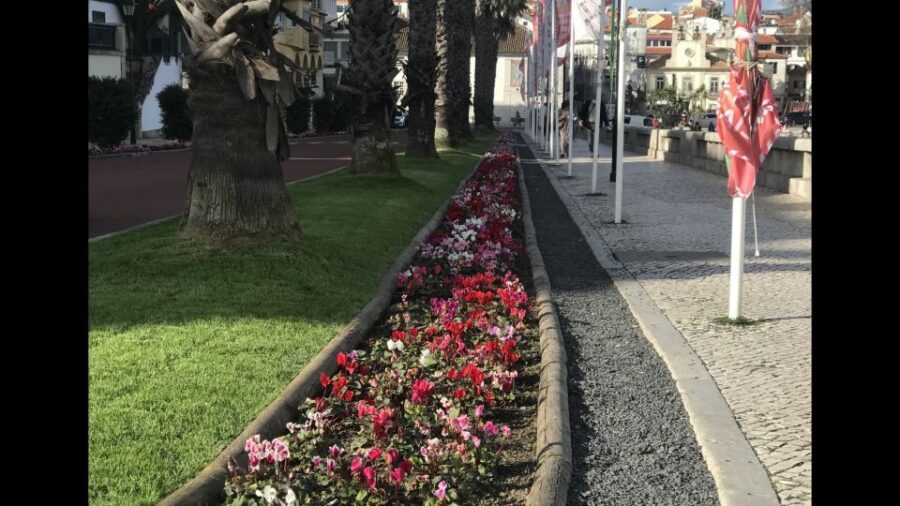 Lisbon: Pena Palace, Sintra, Cascais, and Cabo Roca Day Trip - Pena Palace: entering the color factory (and why the guide matters)