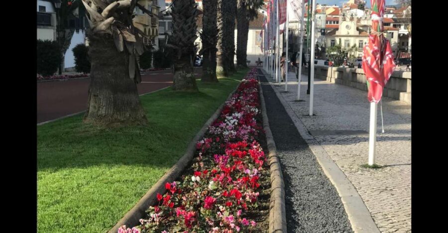 Lisbon: Pena Palace, Sintra, Cascais, and Cabo Roca Day Trip - Sintra on your own: cobblestones, shopping stops, and smart timing