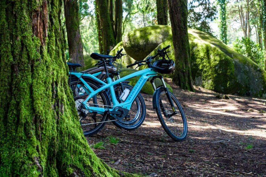 Lisbon: Sintra, Cascais, Cabo da Roca by E-Bike + Transfer - How the Van Transfer Makes This Ride Feel Effortless