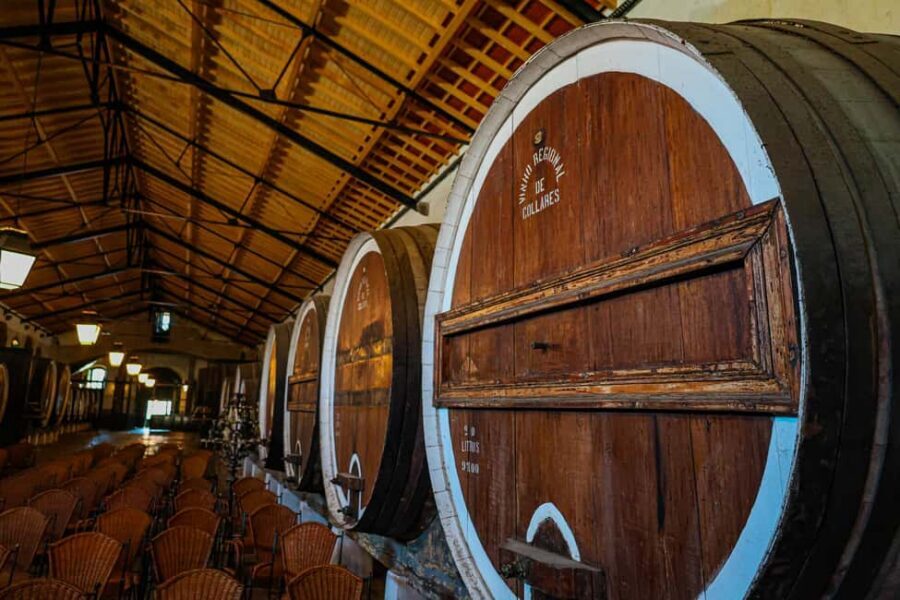 Lisbon: Sintra, Coast and Wine Small-Group Day Tour - The coast shift: Cabo da Roca’s wind and the Colares link