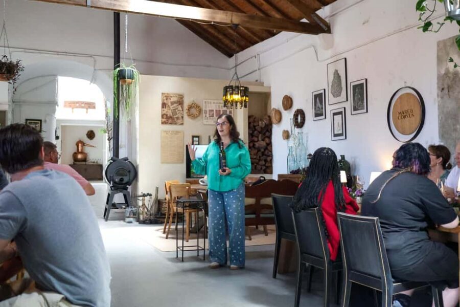 Lisbon: Sintra, Coast and Wine Small-Group Day Tour - Who this tour is best for (and who should skip it)