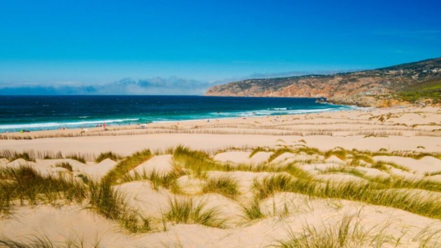Lisbon: Sintra, Pena Palace, Cabo Roca Coast & Cascais Tour - Should You Book This Lisbon Sintra Cabo da Roca & Cascais Tour?