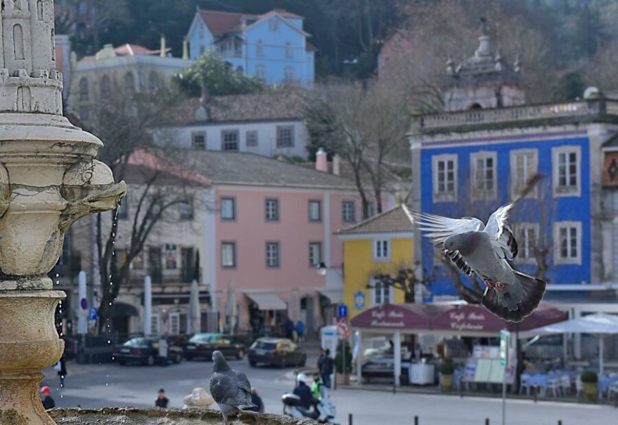 Lisbon: Sintra, Pena Palace, Quinta Regaleira, Cascais Tour - Small-group logistics that keep the day moving