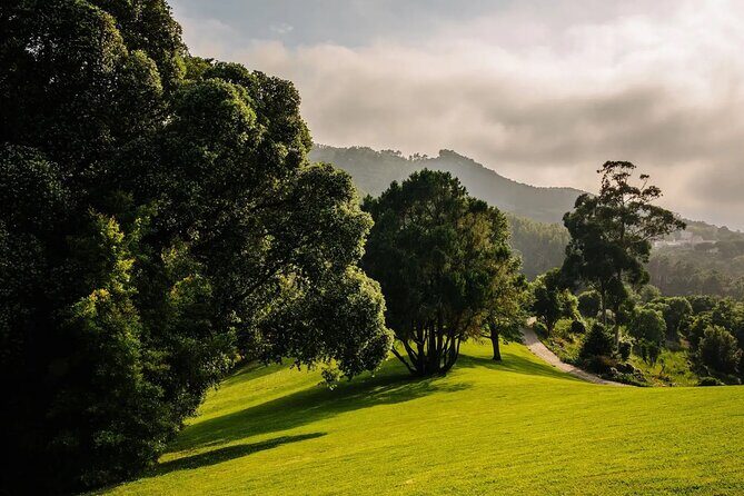 Park and Palace of Monserrate - Key things to know before you go