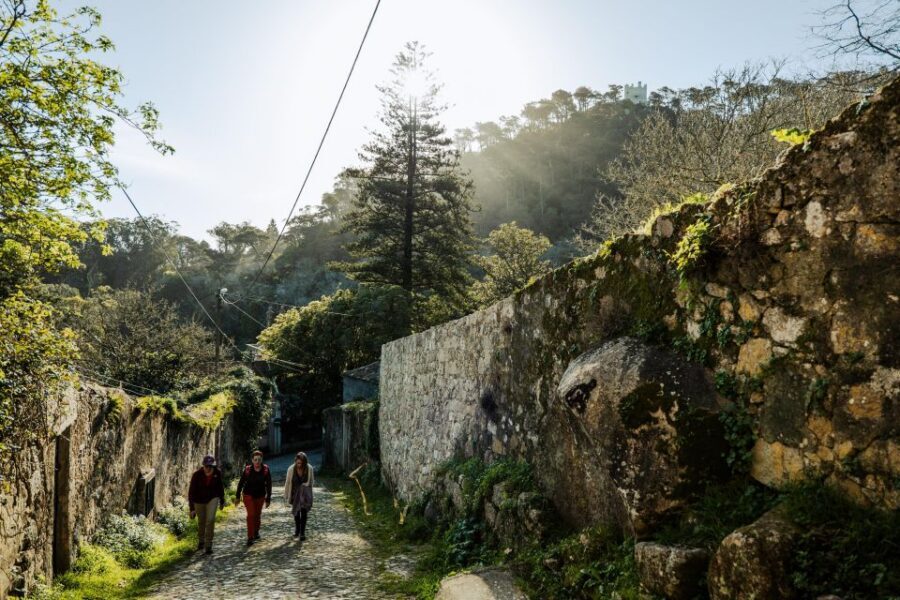 Pena Palace, Moorish Castle,Quinta ad Regaleira:Walking tour - Sintra’s historic center first: where the day makes sense